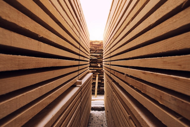 SEGUREX MADERA